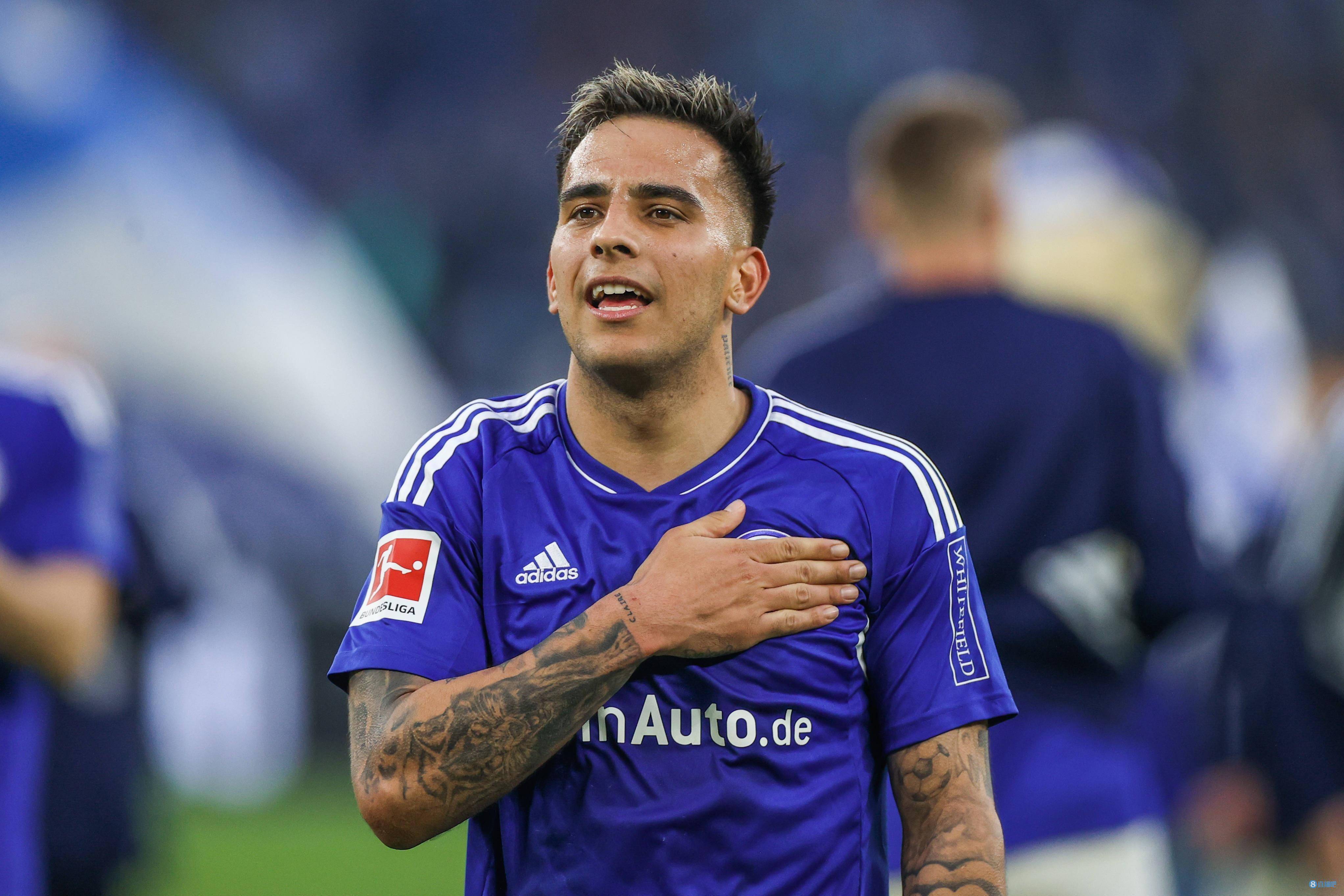 包含沙尔克球队表现强劲，重返德甲争冠阵营的词条